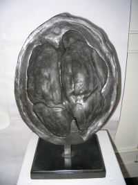 Bronze coque de noix