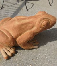 grenouille