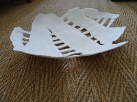 plat blanc 2 terre papier