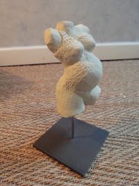 maternité couleur blanche