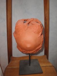 maternité terre rouge