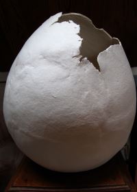 Oeuf