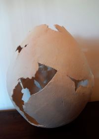 Oeuf