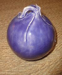 oignon bleu